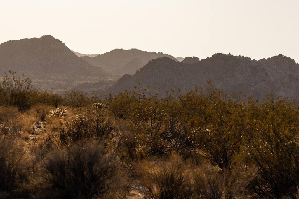 Panoramic Heaven - Luxury Designer Property W Spa Joshua Tree Buitenkant foto