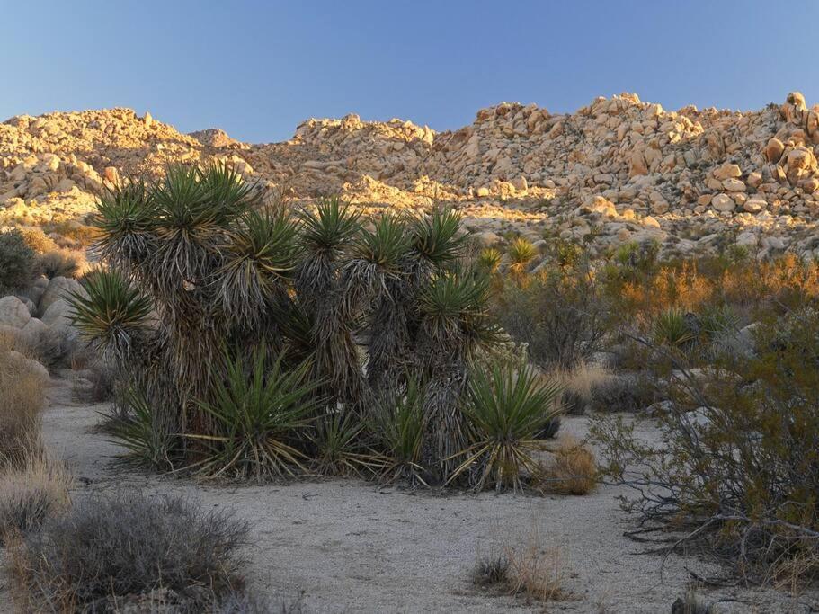 Panoramic Heaven - Luxury Designer Property W Spa Joshua Tree Buitenkant foto