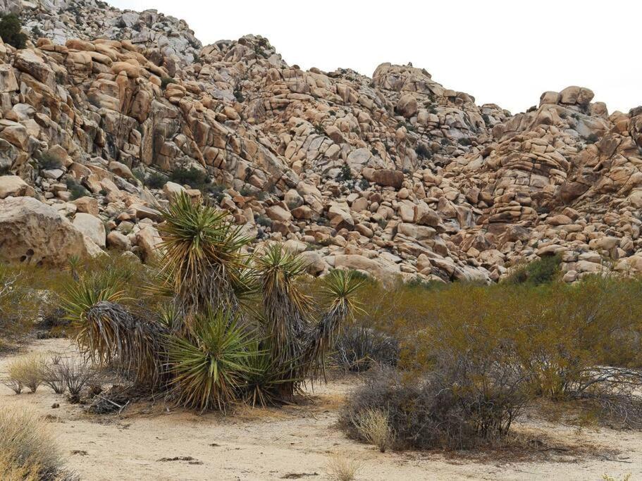 Panoramic Heaven - Luxury Designer Property W Spa Joshua Tree Buitenkant foto