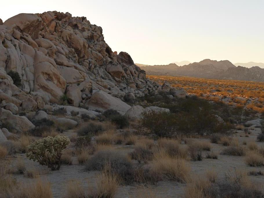 Panoramic Heaven - Luxury Designer Property W Spa Joshua Tree Buitenkant foto