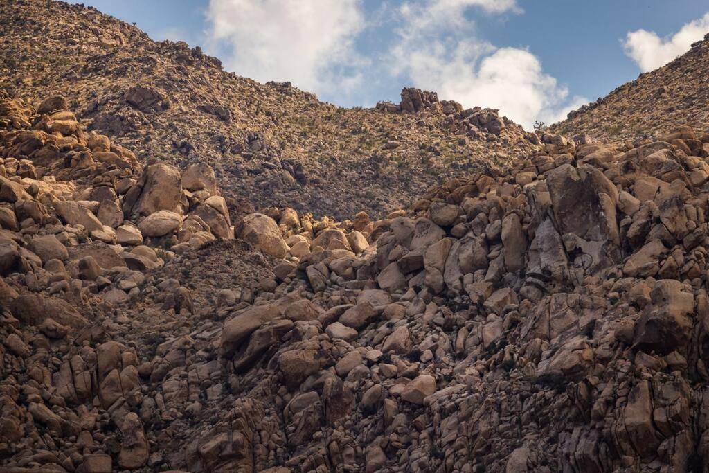 Panoramic Heaven - Luxury Designer Property W Spa Joshua Tree Buitenkant foto